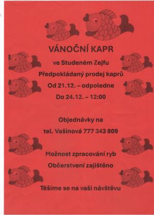 Vánoční kapr ze Studeného Zejfu 1